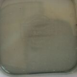 Set of ashtrays, Wagenfeld, WMF