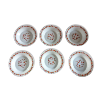 Arcopal Creuse Plates Flowers orange pink vintage vintage Lot of 6