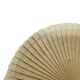 Art Nouveau Polish celluloid fan, 1930s