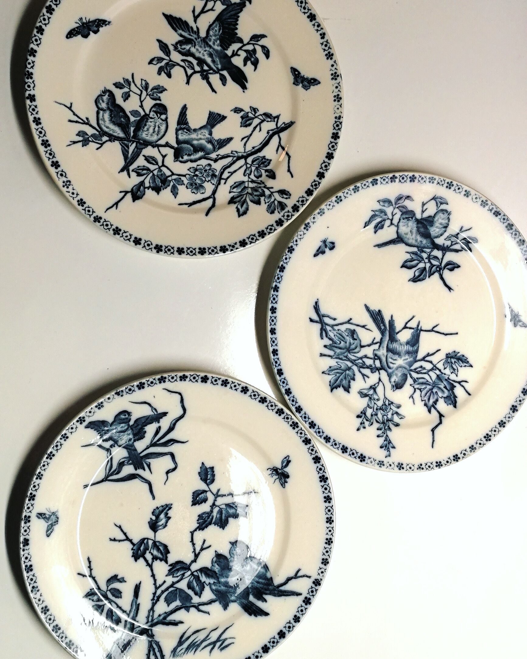 Plates Earth of iron, model "singers" Boch Keramis, 19th brothers