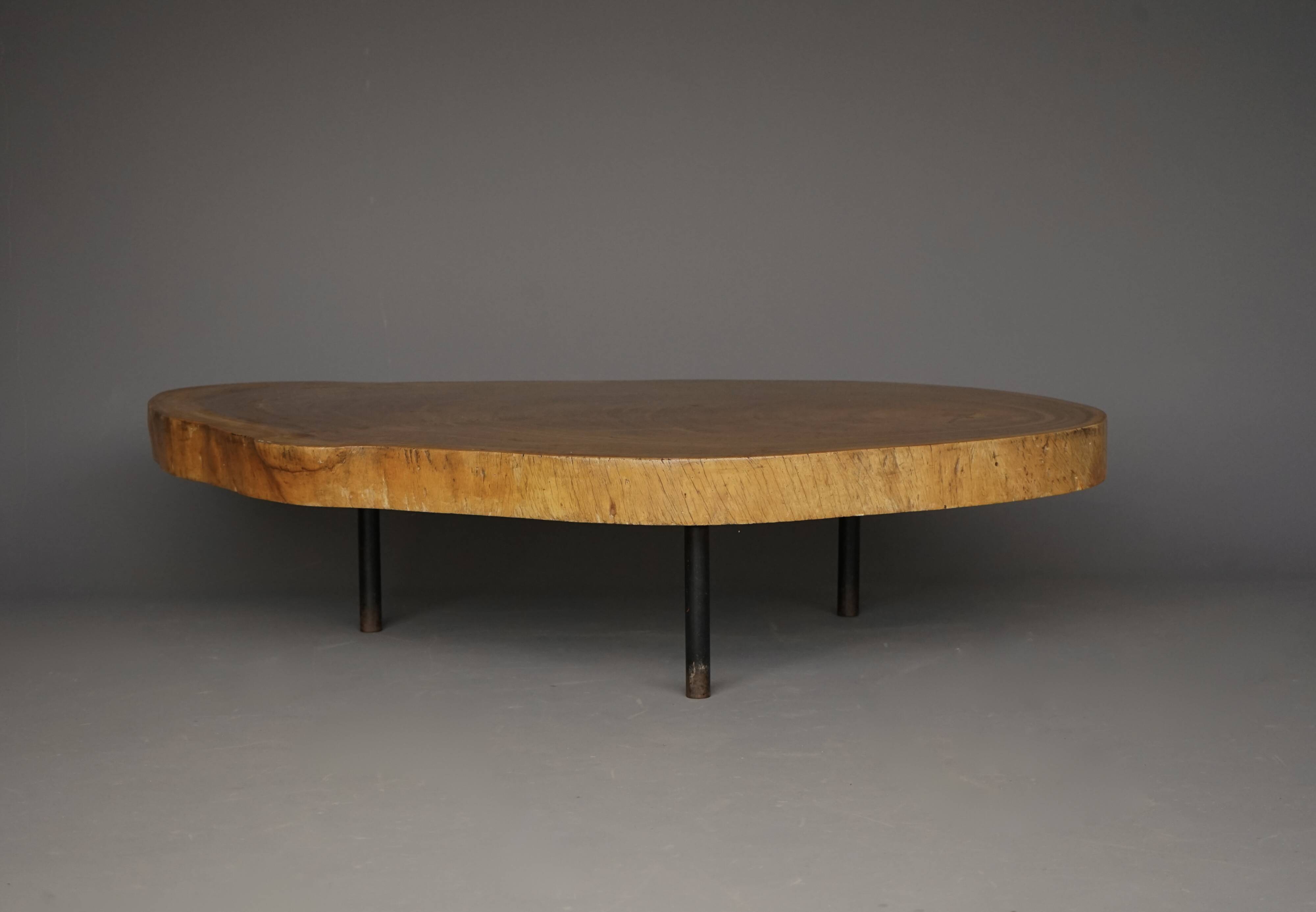 Table basse brutaliste en bois de tronc d'arbre, années 1960