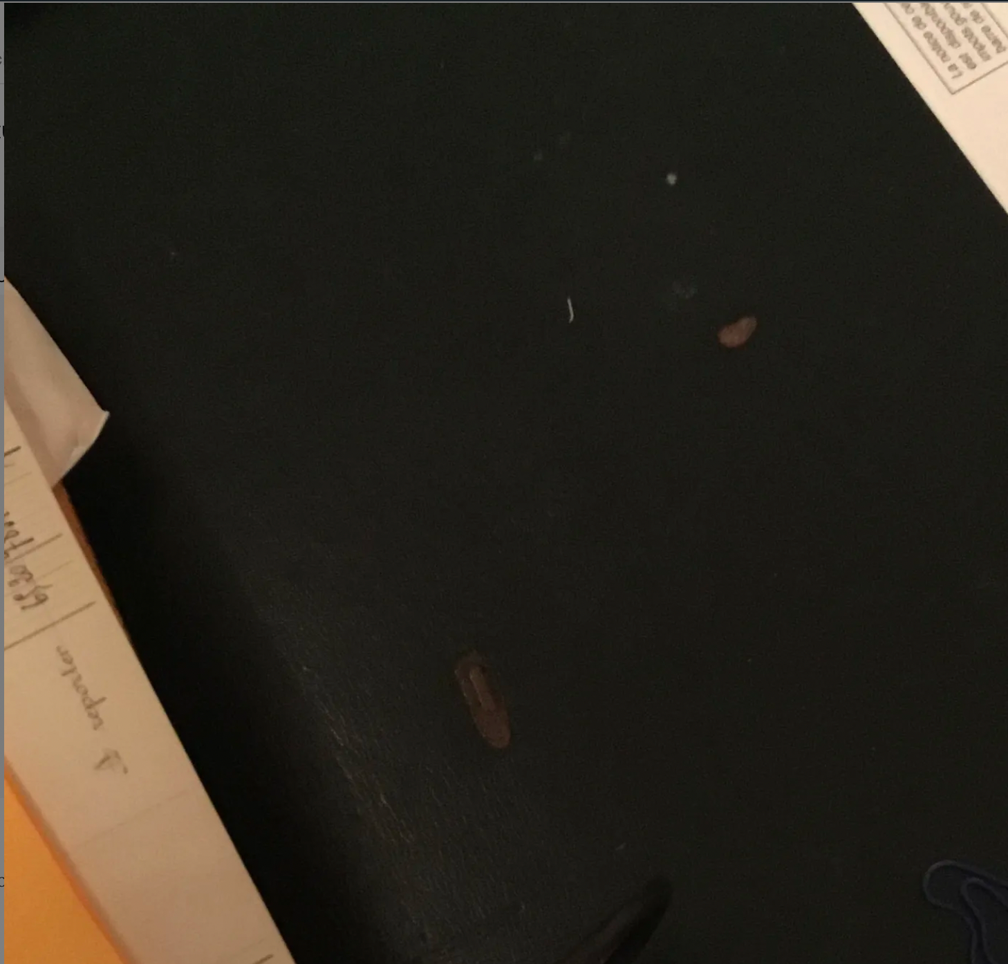 Louis XVI style office