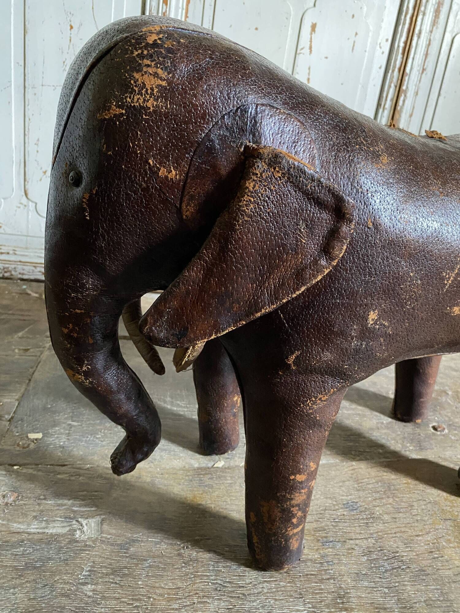 Elephant Dimitri Omersa