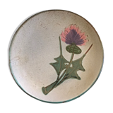 Pop-up Christmas 2022 Set of 6 sandstone plates mid-twentieth