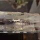 6 engraved crystal champagne flutes (floral) 1920
