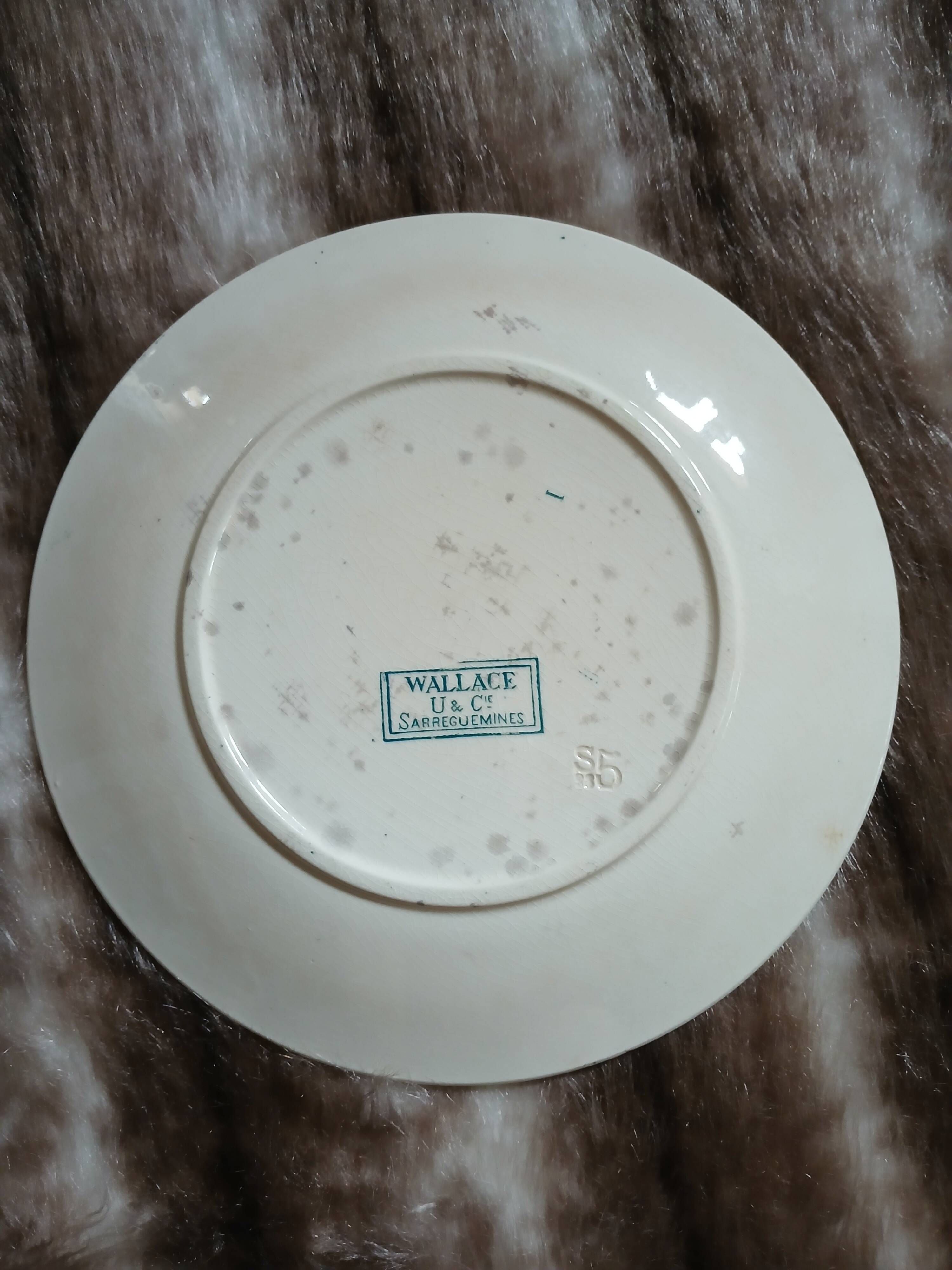 10 antique flat plates in ironstone