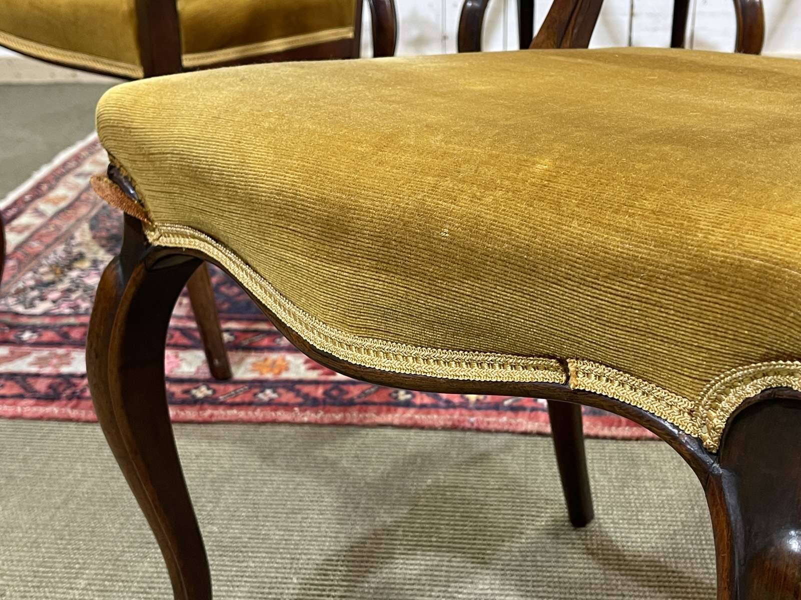 Set of 6 19th century English chairs in walnut
