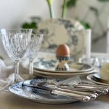 9 mismatched blue ironstone plates