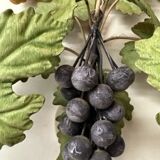 Applies doule bunches of grapes