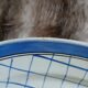 2 plats ovales anciens "Michel " de Gien 