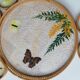 Butterfly rattan tray and coaster