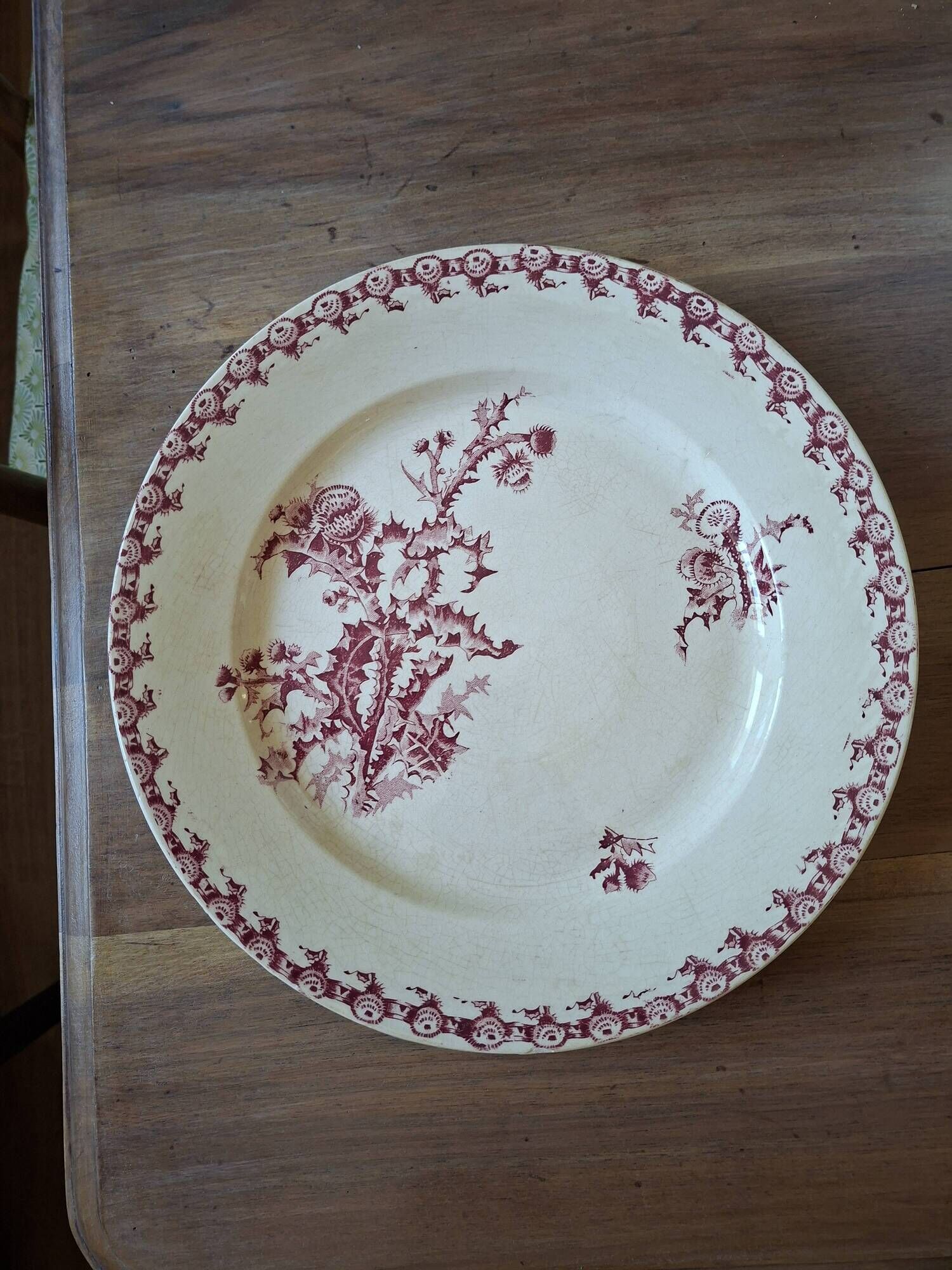 Plat faïencerie girns chardon in red