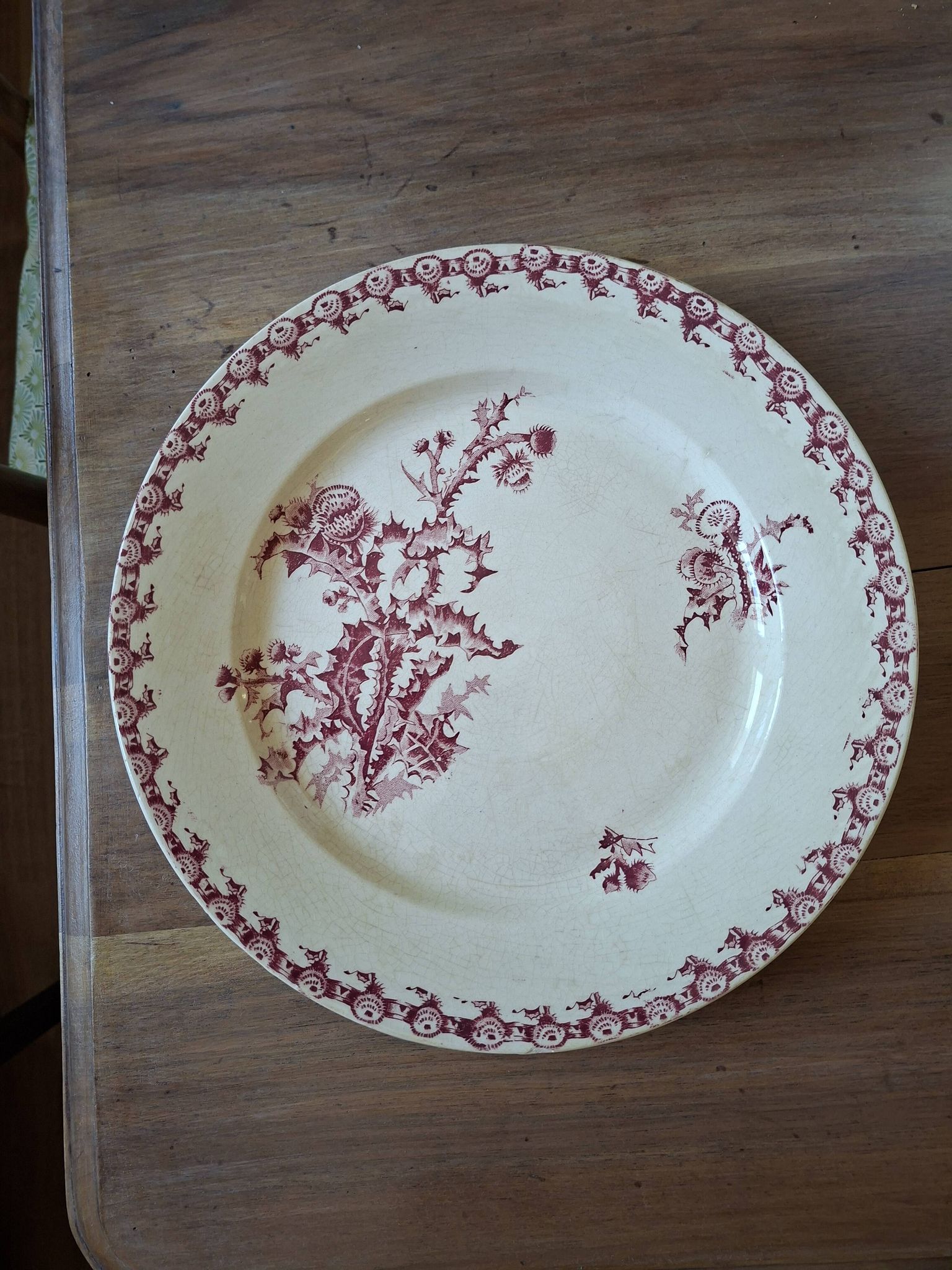 Plat faïencerie girns chardon in red