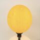 Ostrich egg lamp on a brass stand, antique curiosity cabinet.