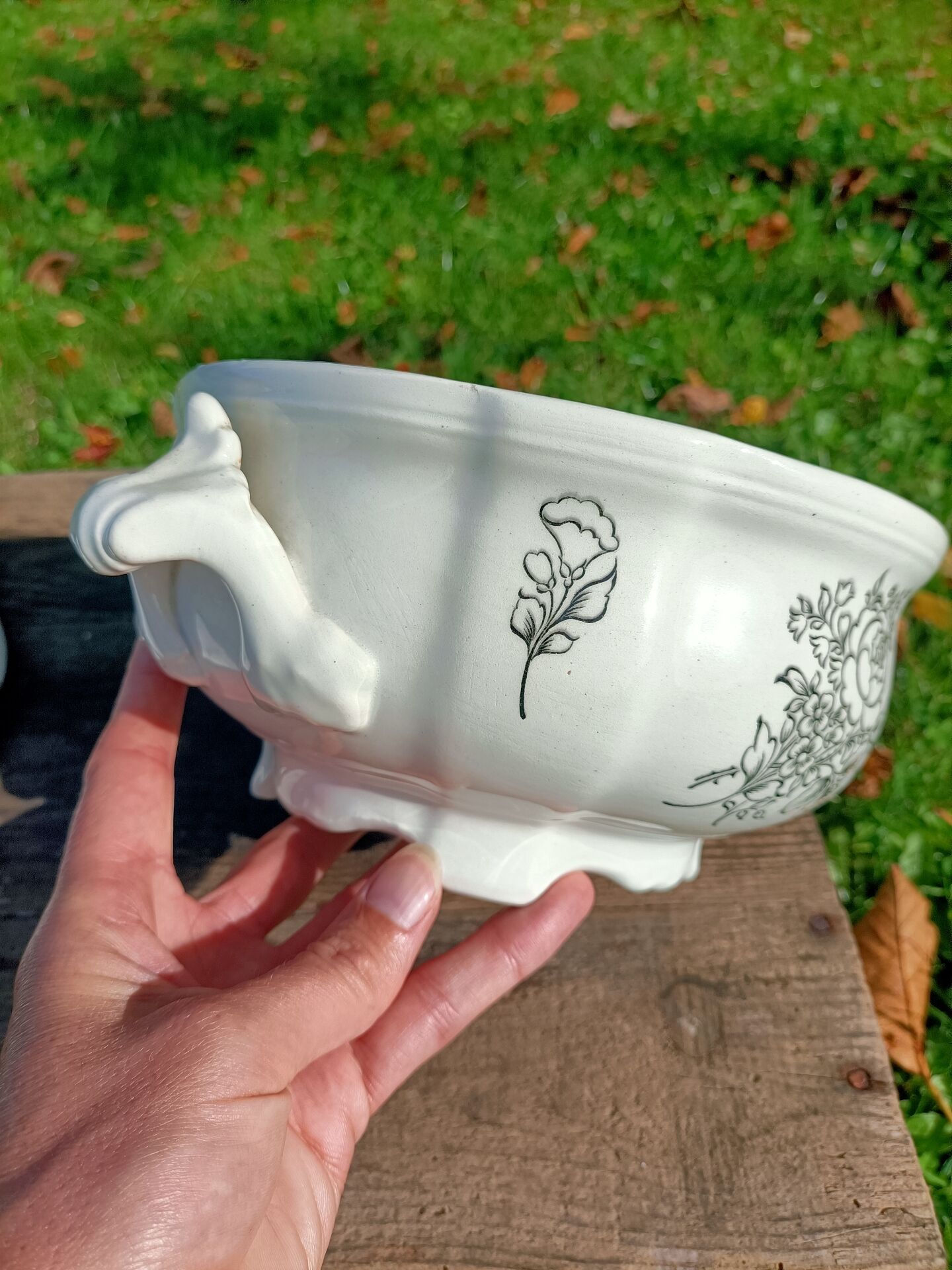 Soup tureen ~ Lunéville