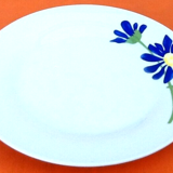 5 assiettes porcelaine à décor floral