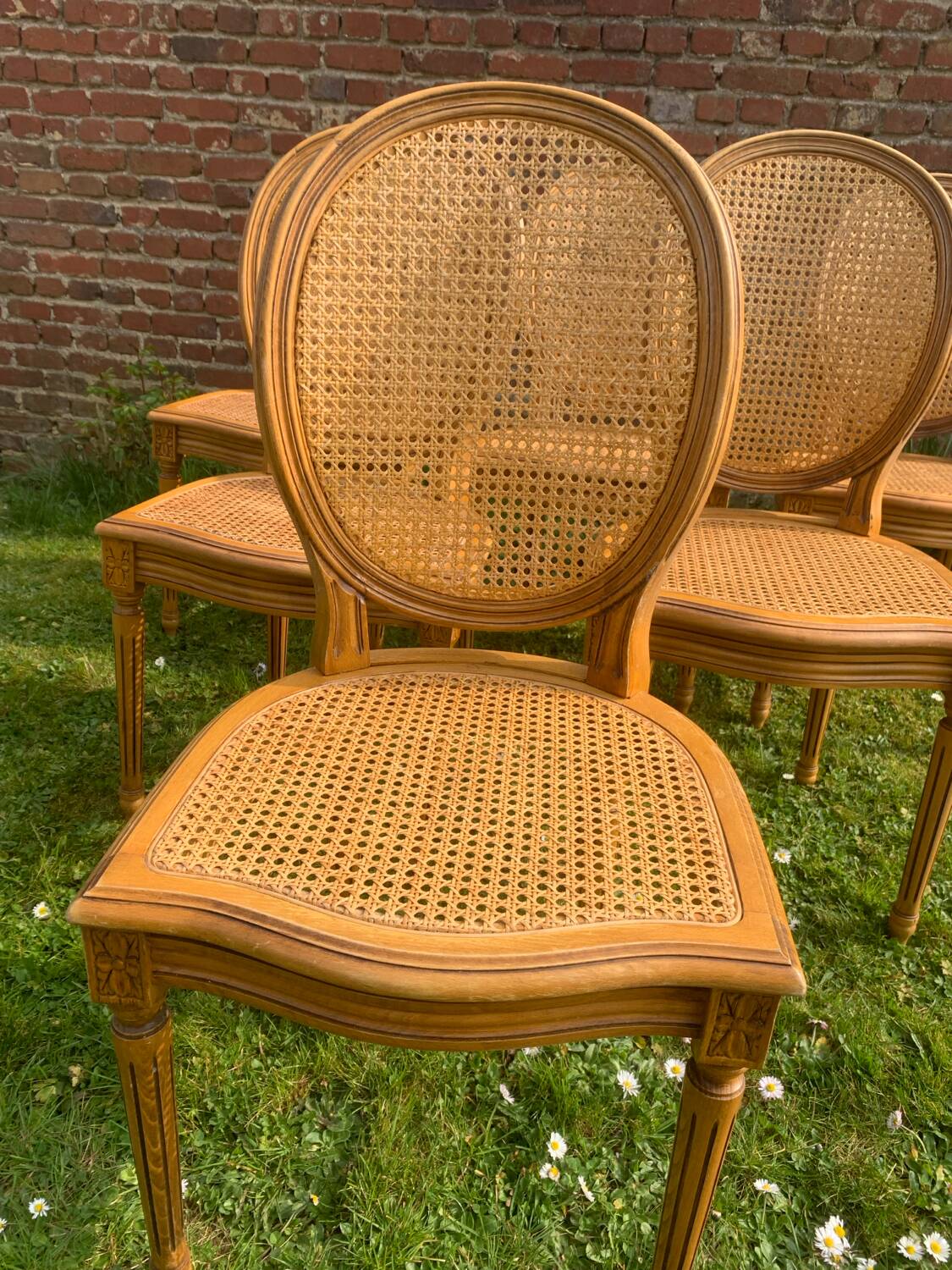 Set of 6 Louis XVI style cane medallion chairs