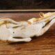 Porcelain biscuit greyhound
