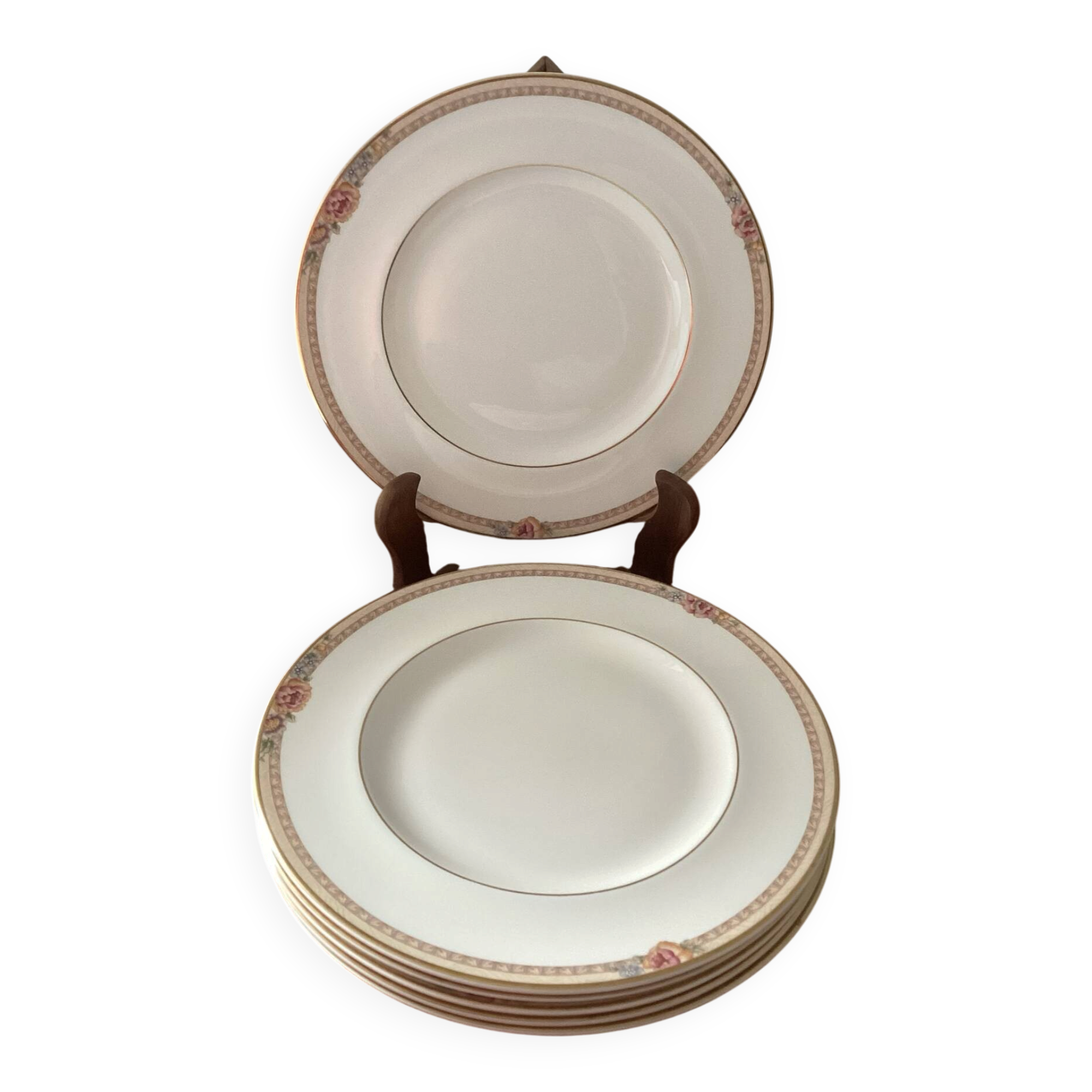 Large fine porcelain plates Royal Doulton Darjeeling