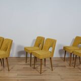 Polish Shell Chairs from Bydgoszcz Furniture Factory, 1960s, Set of 6
