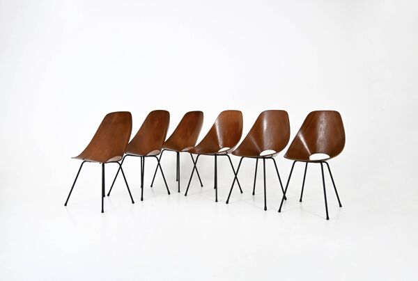 6x Chaises « Medea » par Vittorio Nobili pour Frattelli Tagliabue, 1950s