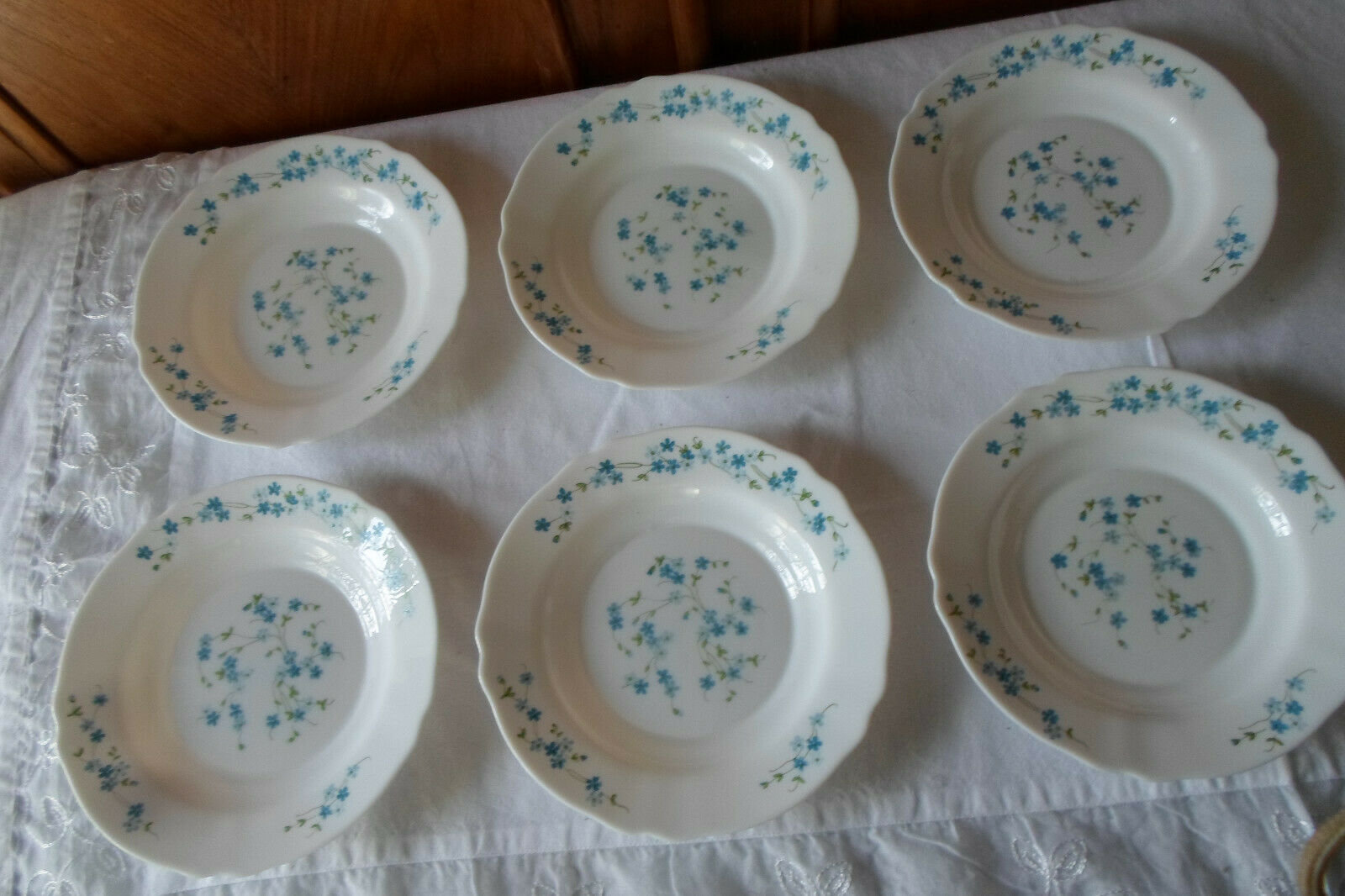 6 plates Veronica hollow blue flowers myosotis arcopal