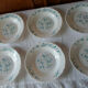 6 plates Veronica hollow blue flowers myosotis arcopal
