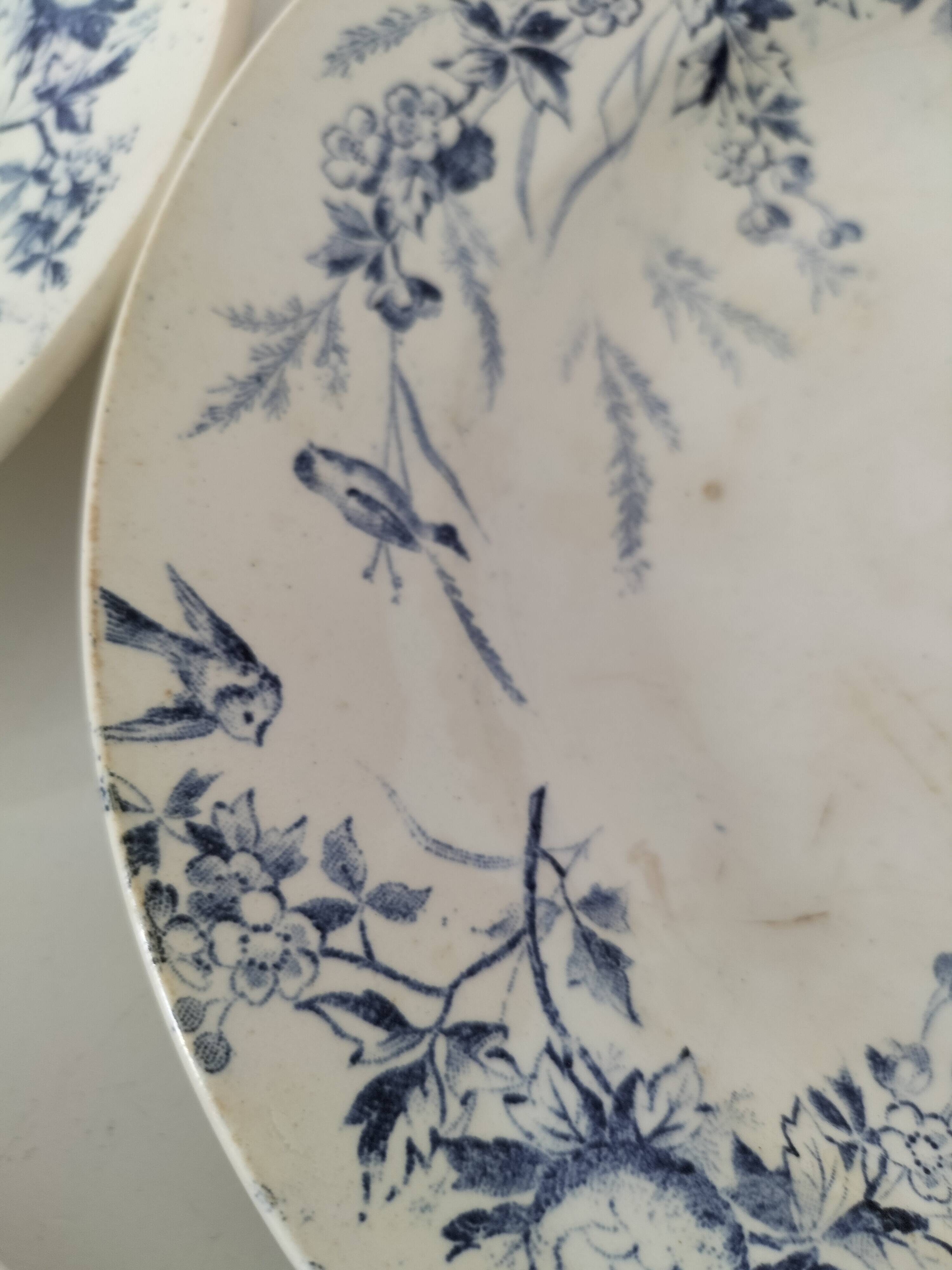 Creil Montereau Plates Linotte Model