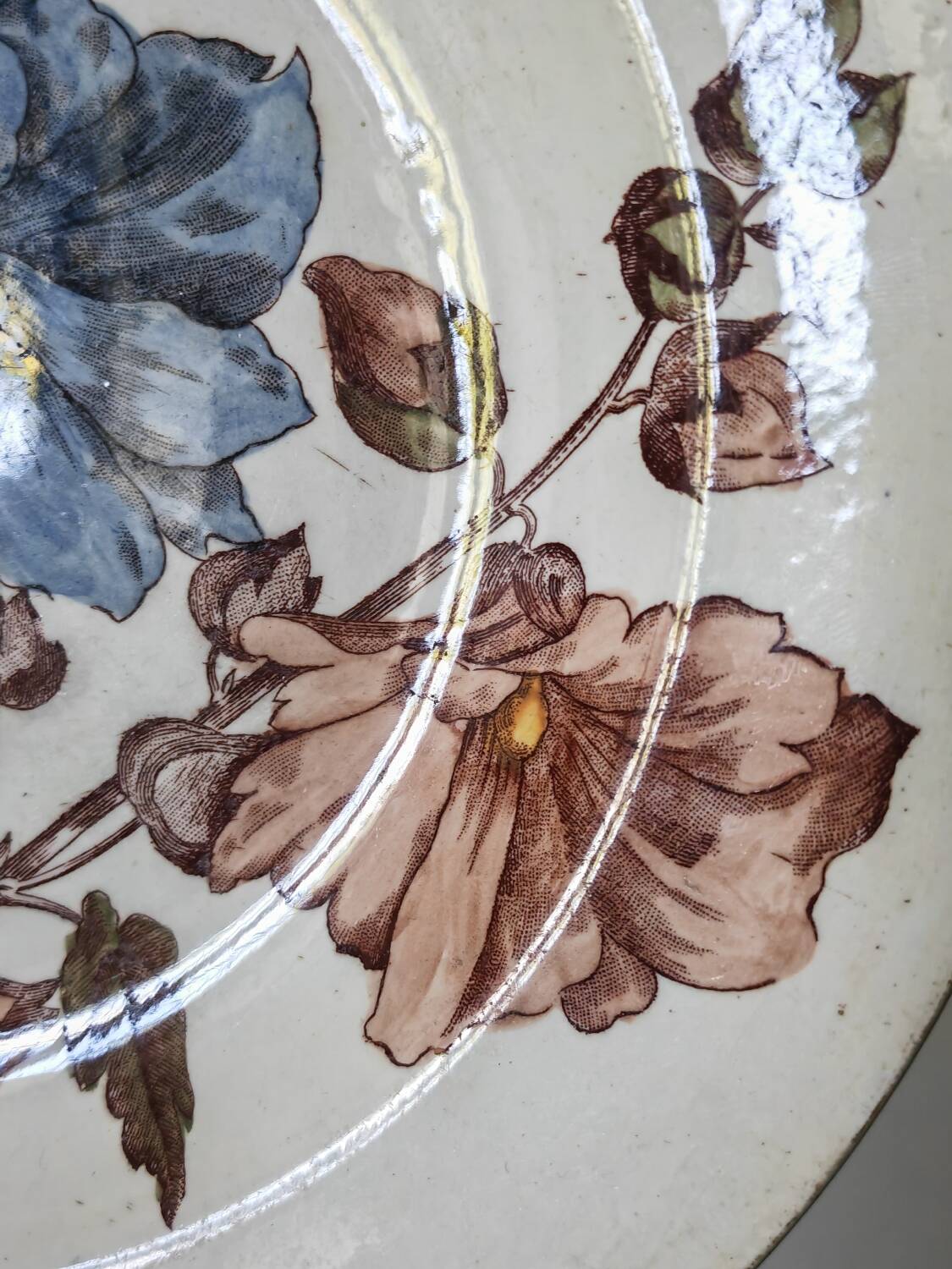 Old polychrome plate Trémières