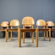 Rainer Daumiller pine wood dining chairs for Hirtshals Savvaerk set of