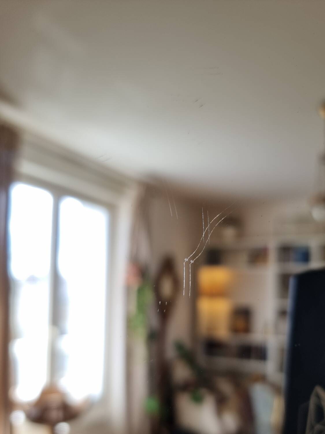 Mirror in wood and gilded stucco
