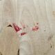 Armoire de toilette 40/50