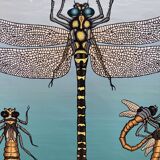 Rouleau d'Illustration libellule