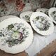 Set of 6 Royal Doulton deep plates in the Kirkwood pattern.