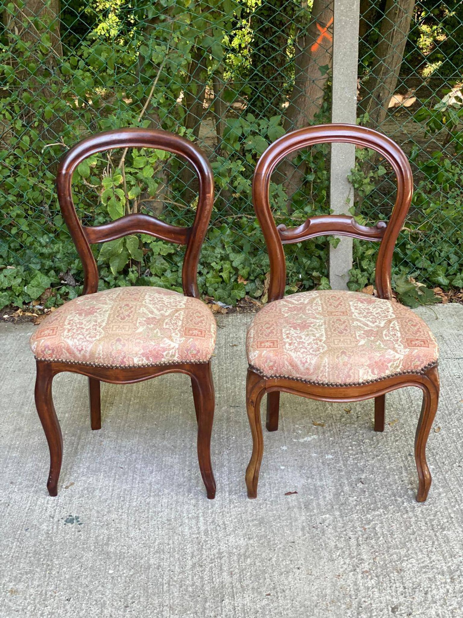 2 chaises louis Philippe bois massif courbé et tissu écru