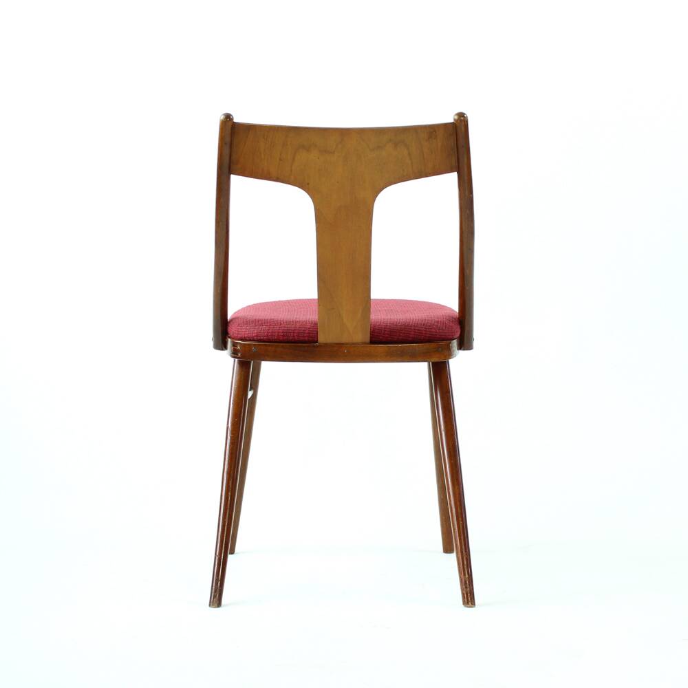 Elegant Dining Chairs In Wood And Pink Upholstery, Czechoslovakia 1960s, Se
