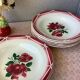 Plates Digoin Cibon Ironstone floral decoration