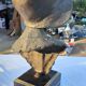 Bust woman