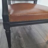 Fauteuils jacob de style louis XVI
