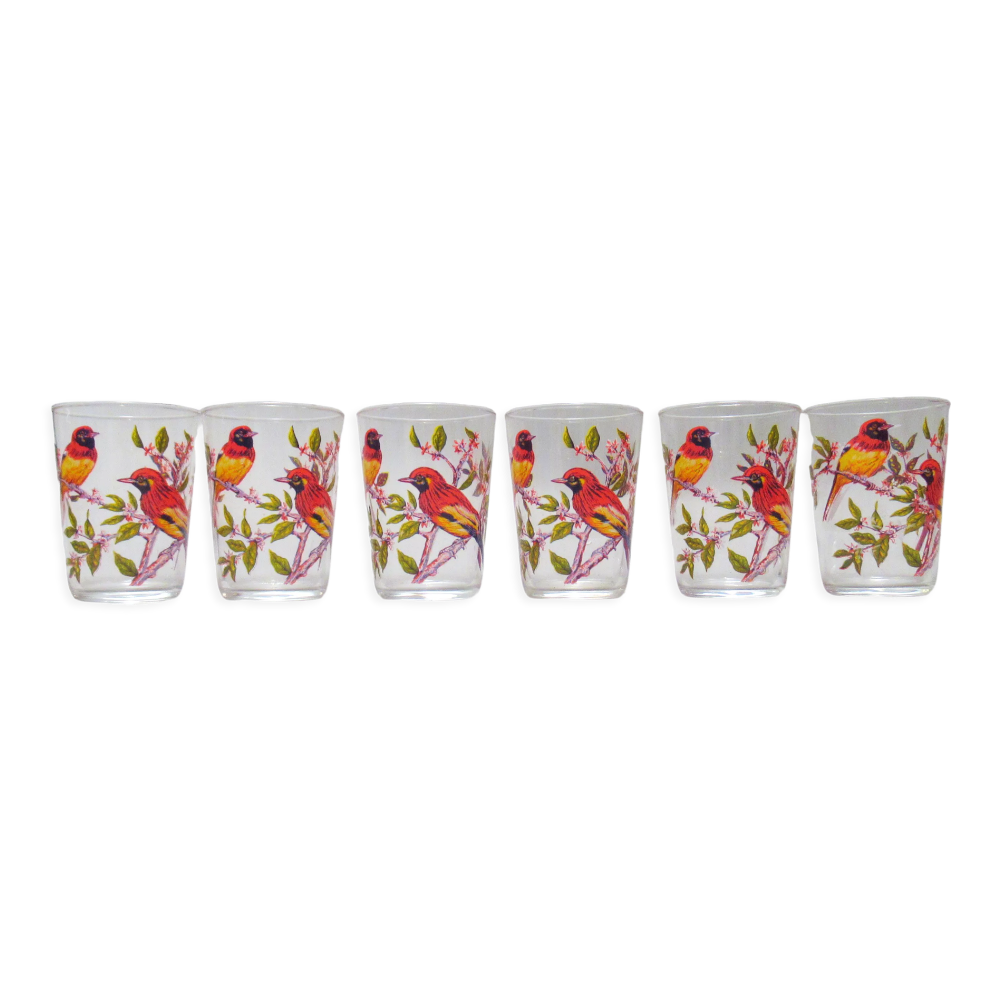 Set of six cups birds 50s