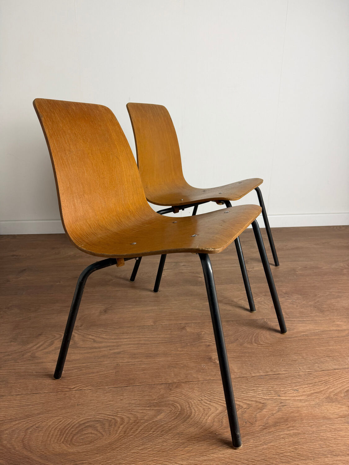 Pair of “Papyrus” chairs attributed to Pierre Guariche, France 1950