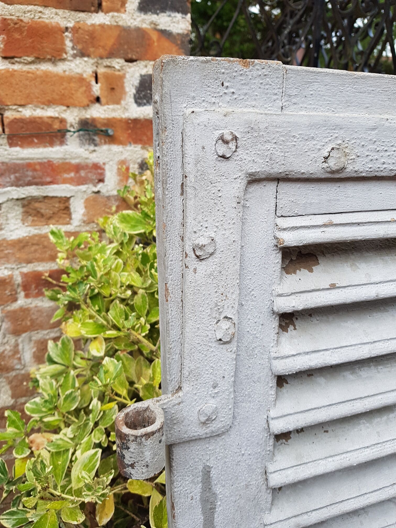 Provencal oak shutter