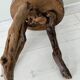 Tabouret brutaliste en ceps de vigne