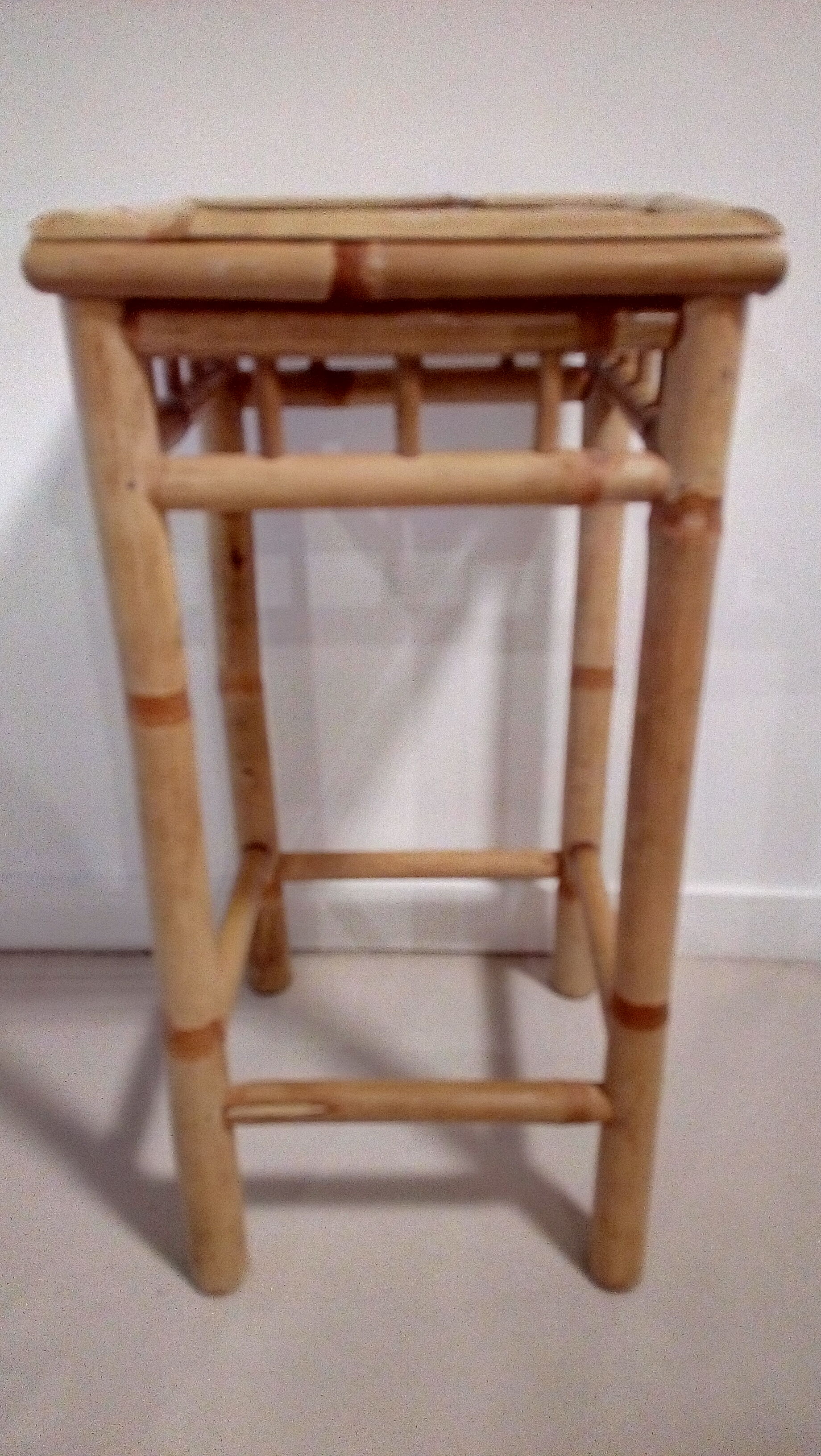 Bamboo selette plant-carrier duo