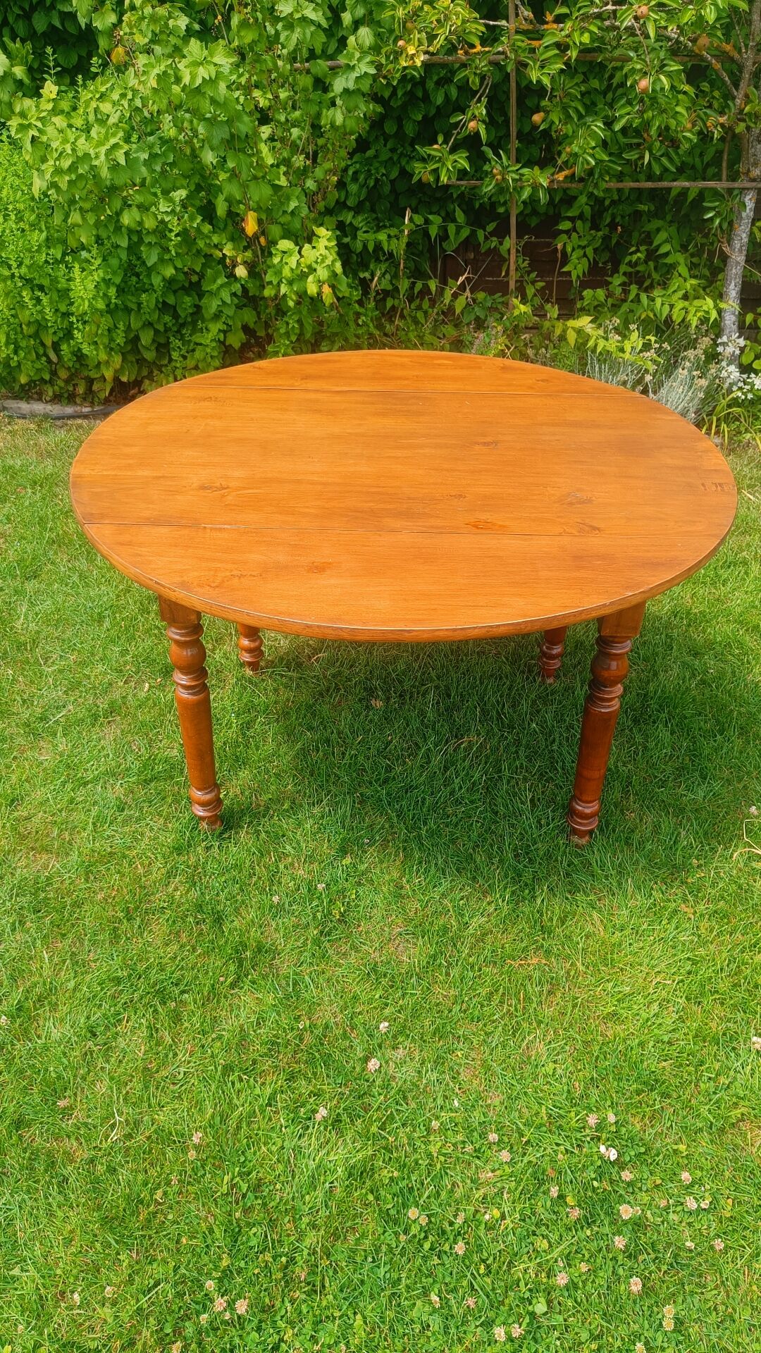 Folding wooden round table – Ø 115 cm