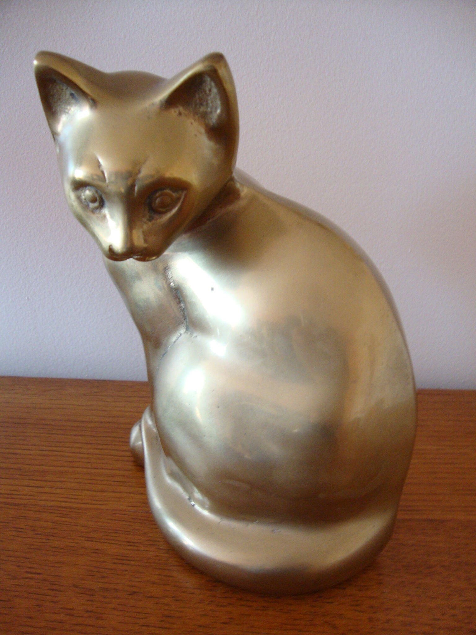 Cat sitting in brass