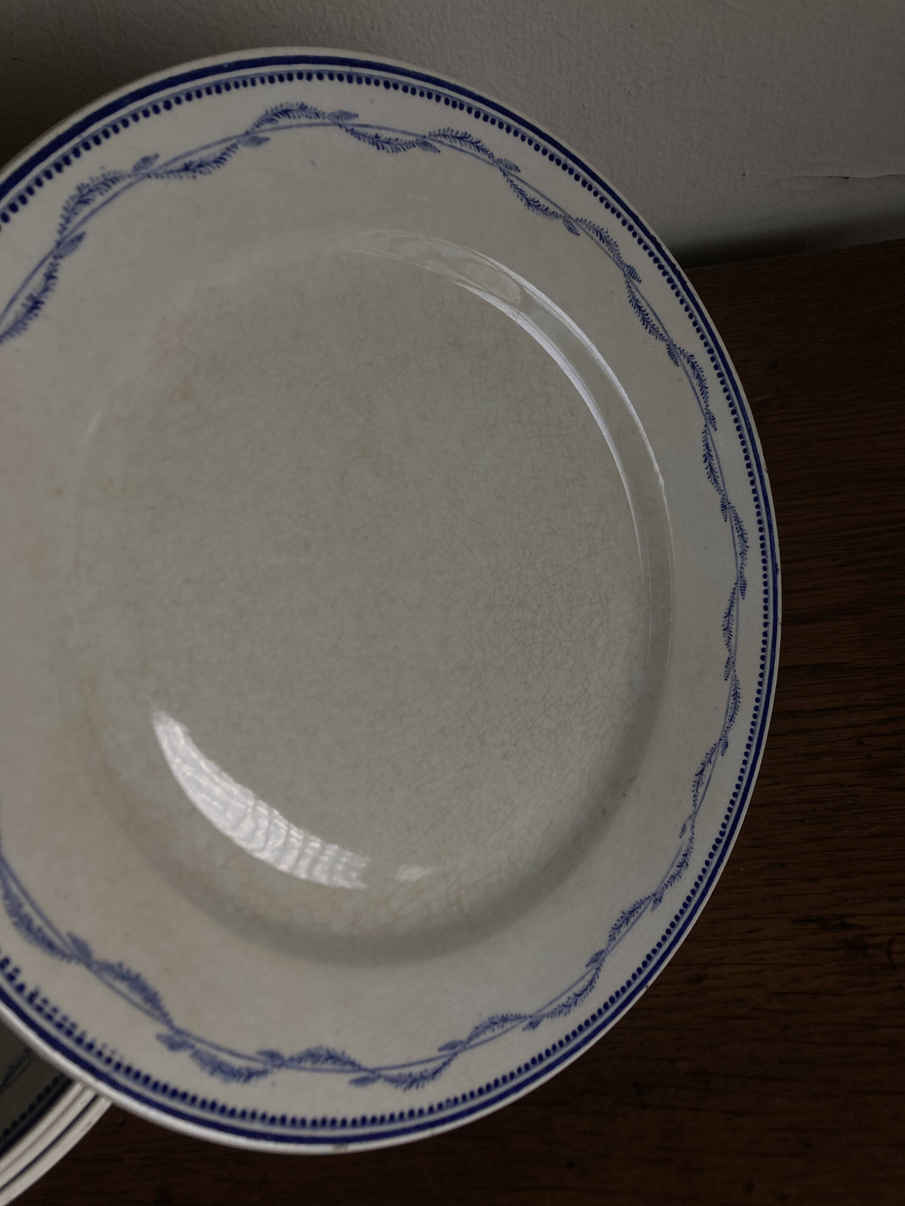 Set of 5 Tournai plates with twig neo-classical design, mid-19th century, ironstone.