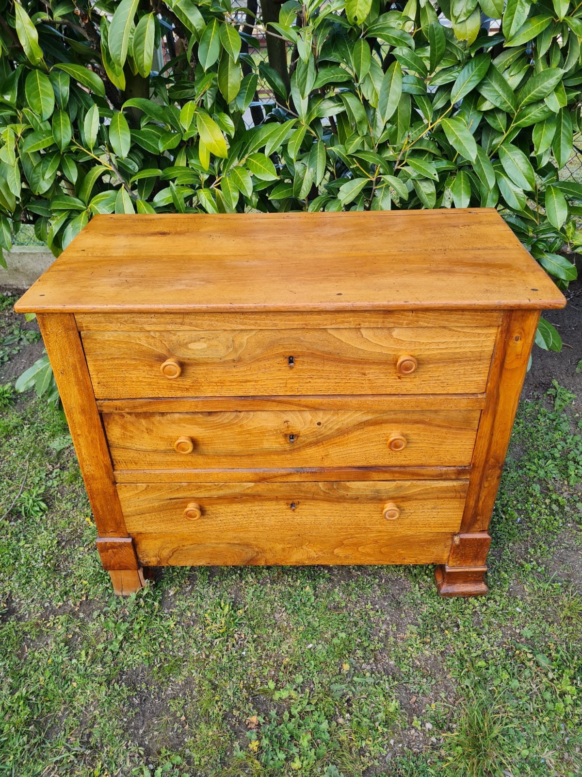 English dresser in solid walnut