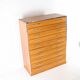 Japanese high commode