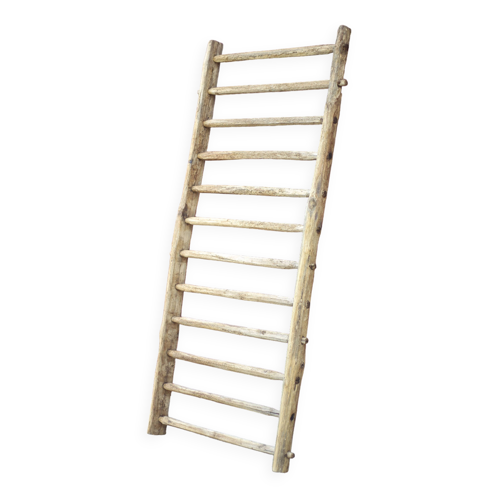 Antique vintage wooden animal fence, wall trellis, plant stand